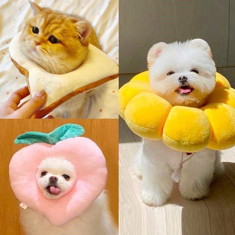 圈耻辱宠物微防水易清洗脖套保护圈猫绝育猫套头罩软布猫咪猫头套热销